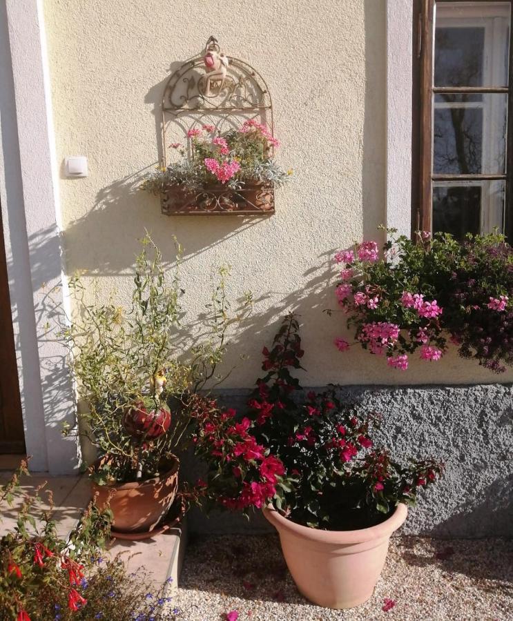 Hostal Marta'S House Bled Exterior foto